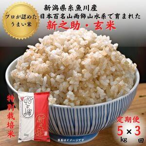 ふるさと納税 新潟県産 新之助5kg(1袋)×3回毎月 計15kg 農家直送 糸魚川 根知産 令和5年産 日本百名山雨飾山水系.. 新潟県糸魚川市