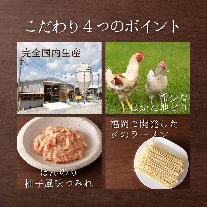 ギフト はかた 地どり 水炊き セット 780g 2?3人前 国産鶏 博多 地鶏 冷凍食品 お歳暮 歳暮