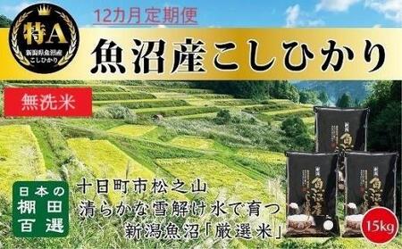 無洗米「12カ月定期便」日本棚田百選のお米　天空の里・魚沼産こしひかり　１５ｋｇ(５ｋｇ×３)×１２回