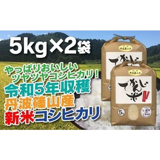 ふるさと納税 兵庫県 丹波篠山市 新米！抜群の味と香り　丹波篠山産コシヒカリ5kg×2