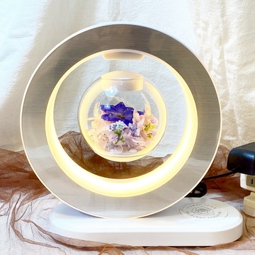 【OSTARA FLORIST 奧斯塔拉花藝】『新款上市-夢幻飛燕系列』永生花懸浮檯燈(內含藍芽音響及無線手機充電)