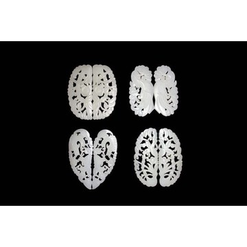 《博古珍藏》天然和闐白玉拉絲透雕花鳥紋耳飾．早期收藏．項鍊玉佩飾玉牌．超值回饋．1對2500元