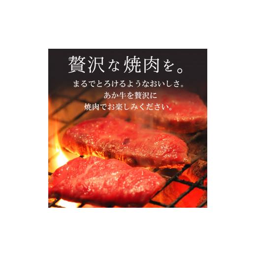 ふるさと納税 熊本県 玉名市 牛肉 あか牛 焼き肉用 約400g （バラ・もも）