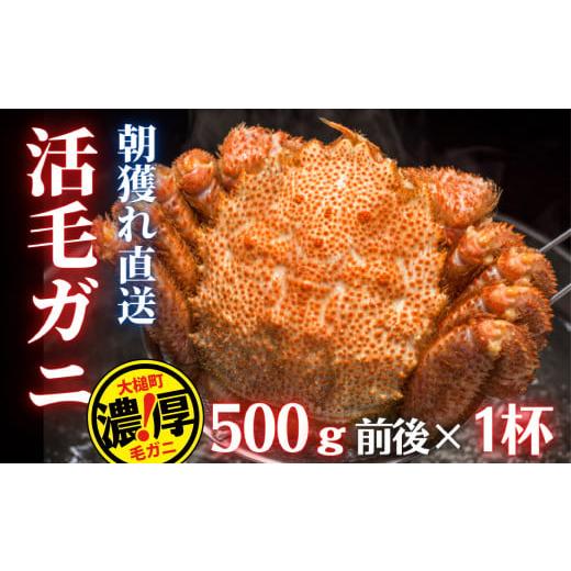 ふるさと納税 岩手県 大槌町 三陸産 三陸活毛ガニ 500g×1杯（1尾）天然 国産 冷蔵 三陸 直送 濃厚 かに 蟹 カニ 毛ガニ けがに 毛蟹…