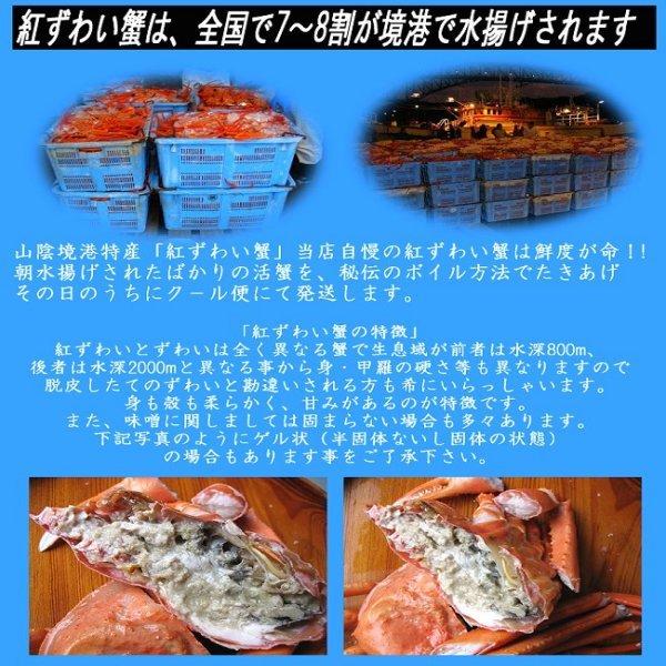 紅ずわい蟹3L(600〜700g)5匹セット　かに　カニ