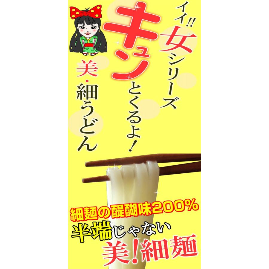  讃岐うどん 女・美！細麺 20人前セット　つゆ無し