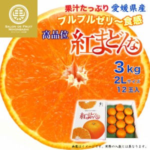 [予約 12月1日-12月30日の納品] 紅まどんな 3kg 2L 愛媛県 化粧箱 冬ギフト お歳暮 御歳暮