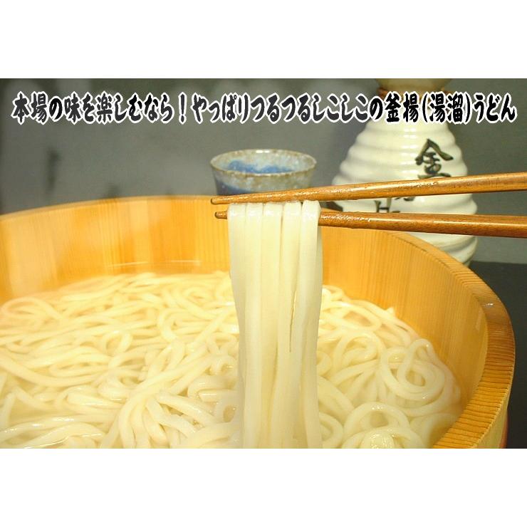 送料無料 うどん 純生ぶっかけ醤油・玉・釜揚得盛り 讃岐うどん セット10人用