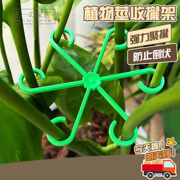 植物莖支架【正一家居】枝條收攏器 植物收攏器 收攏架 植物支撐架 植物固定架 龜背芋支撐架 盆栽收攏架 花梗支架 防倒伏
