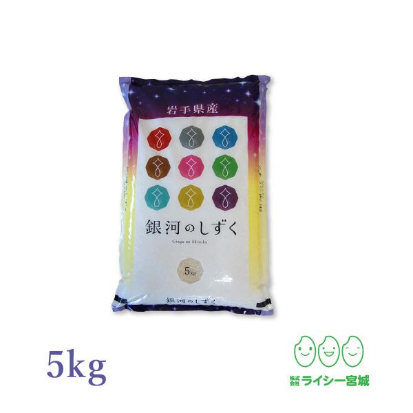 新米 銀河のしずく 5kg 令和5年産 岩手県産 白米 お米 送料無料 精白米