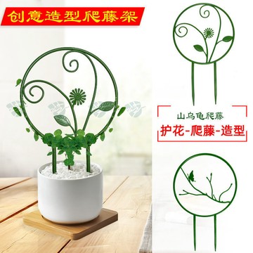 臺灣嚴選山烏龜綠植圓形花架綠蘿攀爬架子鐵綫蓮爬藤架桌麵花卉造型架