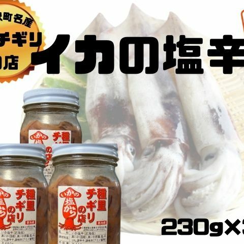 いか塩辛 小セット 合計690g（230g×3瓶）