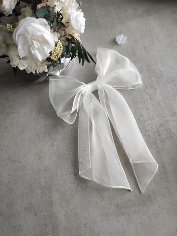 蝴蝶結夾，髮飾。