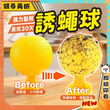 【隔日配+免運💥超級好用】誘蠅球 捕蠅球 捕蠅板 捕蠅器 黏蟲板 黏蠅板 蒼蠅貼 黏果蠅 蒼蠅球 捕蟲 黏蒼蠅球 超黏捕