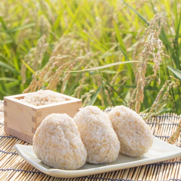 クーポン利用で10％OFF 新米 30kg コシヒカリ 5年産 会津産 送料無料 『令和5年福島県会津産コシヒカリ玄米30kg』