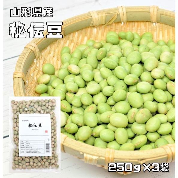 秘伝豆 250g×3袋 豆力 山形県産 （メール便）ひでん豆 国産 青大豆 枝豆 だいず 国内産 乾燥豆 乾燥大豆