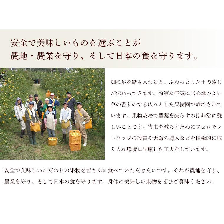 長野県産　特別栽培ふじりんご３ｋｇふじリンゴ・無化学肥料・農薬５割減・特別栽培・ネオニコフリー