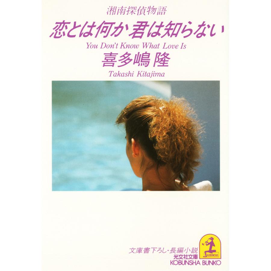 恋とは何か 君は知らない〜湘南探偵物語〜 電子書籍版   喜多嶋 隆