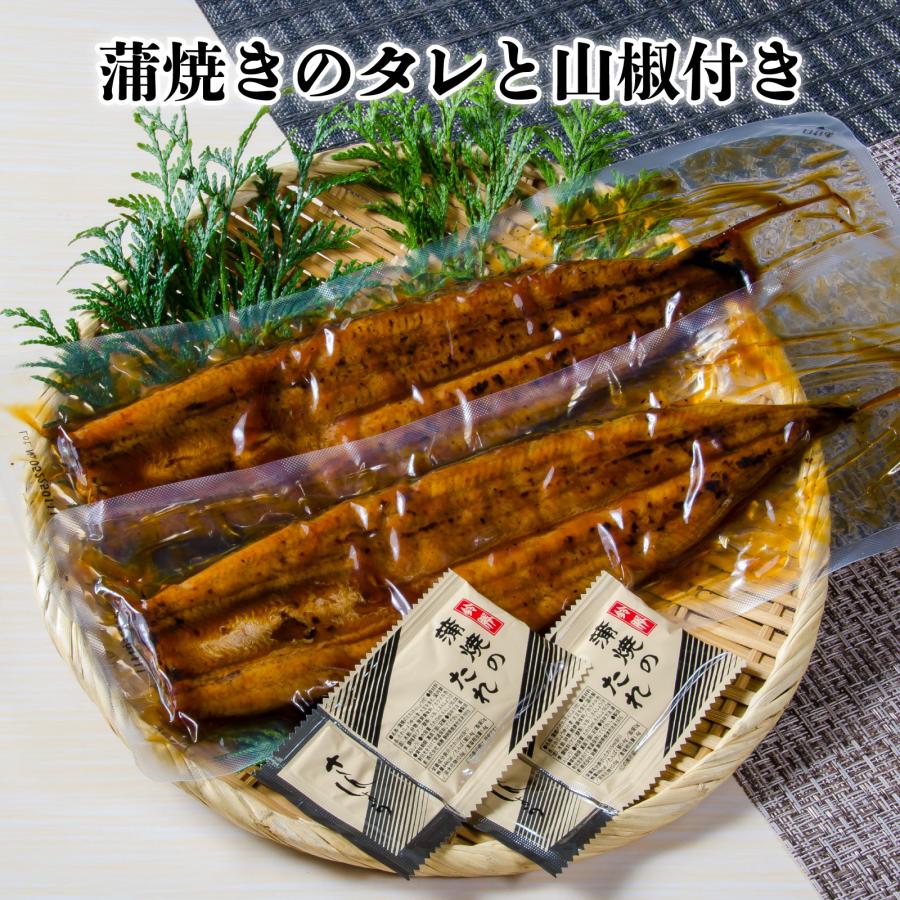 鹿児島県産鰻長蒲焼セット2尾 無頭長蒲焼き真空(添付タレ山椒付×2・しおり１枚）