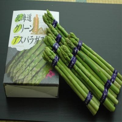 ふるさと納税 網走市 先行受付＜北海道網走産＞旬のアスパラセット 1kg×2袋