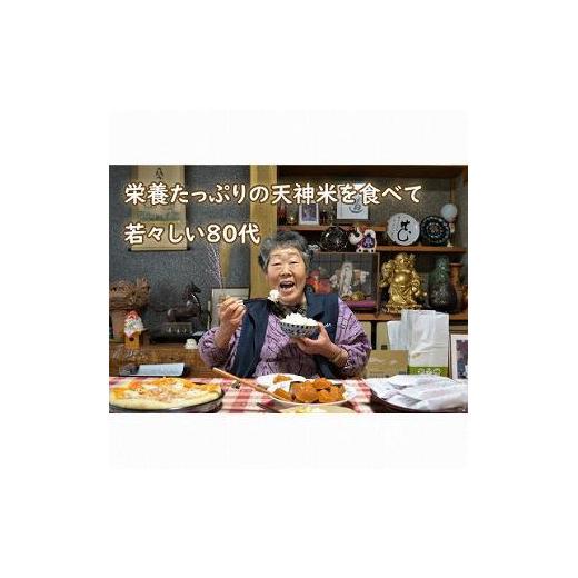 ふるさと納税 新潟県 十日町市 令和5年度新米　新潟魚沼産コシヒカリ 天神米 5kg×2袋