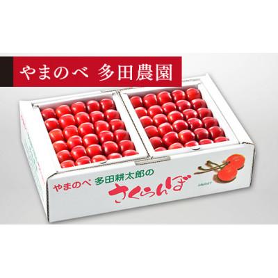 ふるさと納税 中山町 手詰 約500g×2