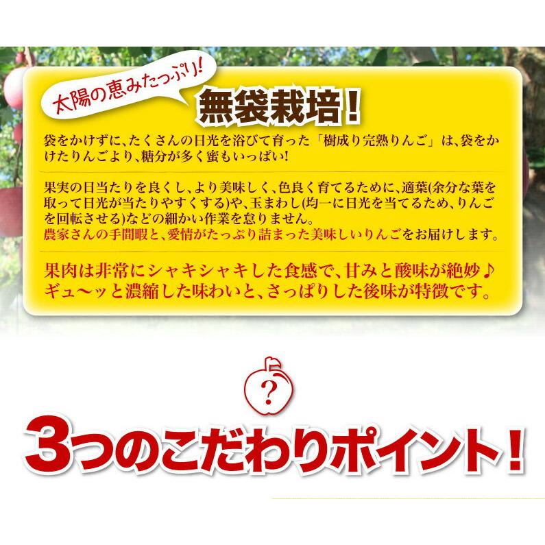 りんご 完熟蜜入り 5kg 青森県南部産 樹成り完熟 ご家庭用 訳あり サンふじりんご 送料無料 産地直送 Y常