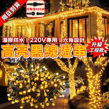 【工程級】黑線燈串 20米200燈 高亮燈串 V8 多色防水燈串 串接無壓力 室內外裝飾燈 升級防水黑線燈 高亮六角燈珠