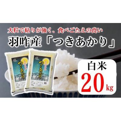 ふるさと納税 羽咋市 石川県産　つきあかり　20kg(10kg×2袋)　白米