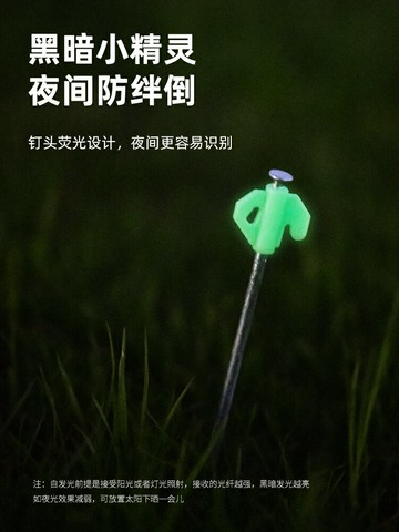 探险者户外地钉固定夜光地钉地插天幕配件露营帐篷地钉防风铁20cm【Snowbelle優選】