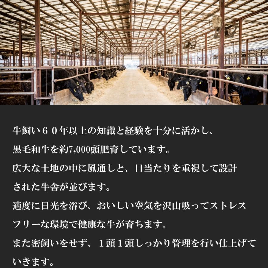 宮崎 有田牛 特上ローススライス 600ｇ　特上ロース ロース　和牛 高級肉 お肉 お取り寄せ 焼肉セット