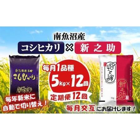 ふるさと納税 南魚沼産コシヒカリ・新之助5kg×12回 新潟県南魚沼市