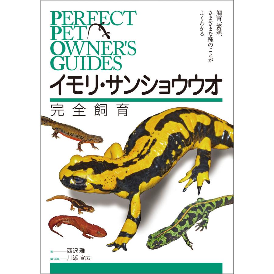 イモリ・サンショウウオ完全飼育 飼育,繁殖,さまざまな種のことがよくわかる