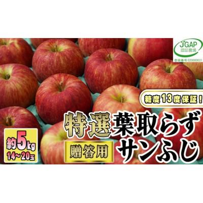 ふるさと納税 鶴田町  贈答用 葉取らずサンふじ 約5kg  青森県産りんご