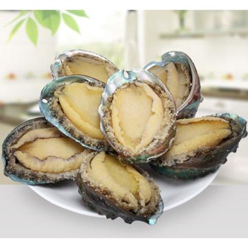 挑戰拳頭大超厚肥美鮑魚限量組