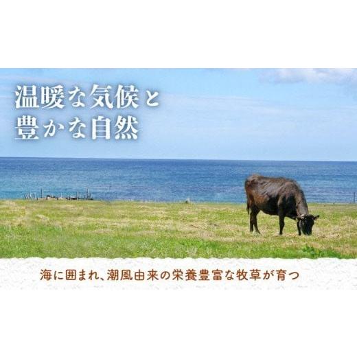 ふるさと納税 長崎県 五島市 五島牛 薄切りセット ロース モモ 700g すき焼き 五島市／ごとう農業協同組合 [PAF002]