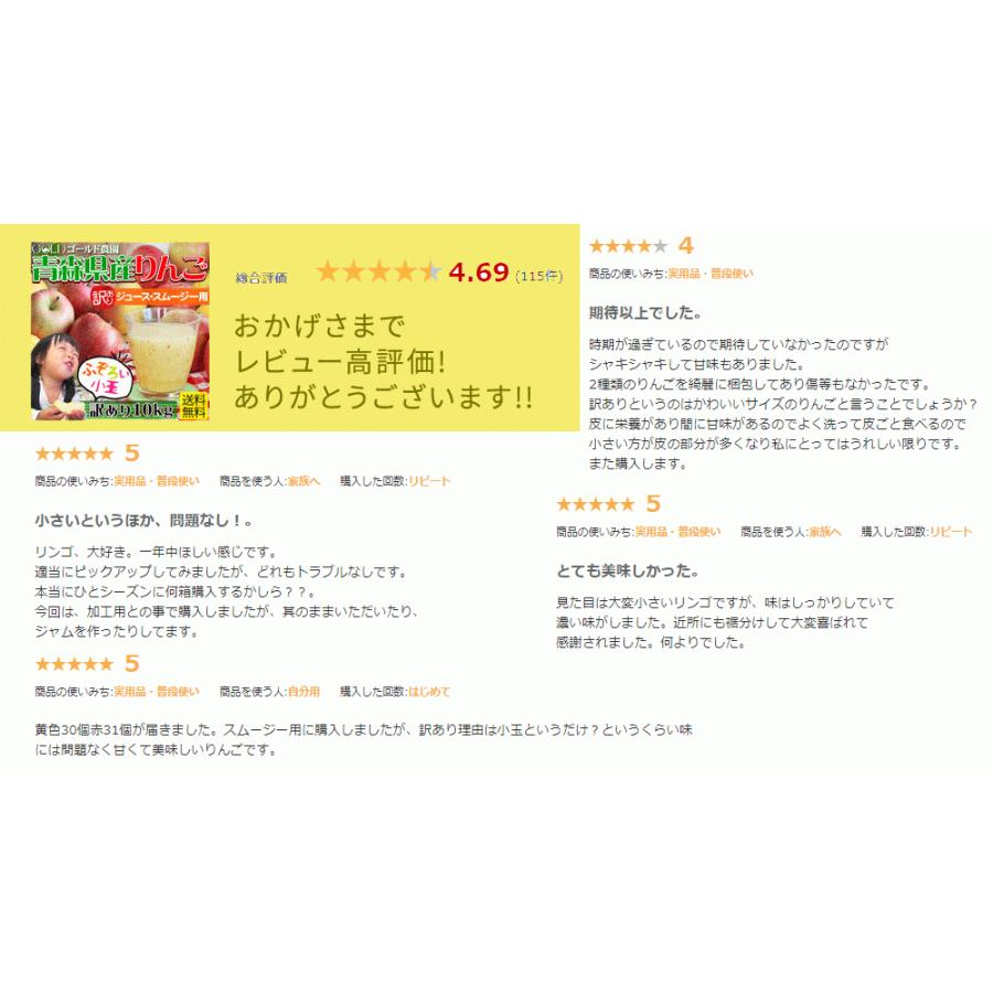 りんご 訳あり 送料無料  加工用 規格外品(バラ詰め2段 36-65玉)  [※産地直送のため同梱不可]「GOLD」