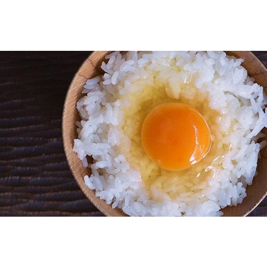 ふるさと納税 熊本県 合志市 平飼い 有精卵 30個入 たまご 卵