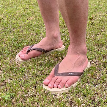 男款TOP跳色 經典夾腳拖鞋 防水耐磨止滑人字拖鞋 米色&棕鞋帶