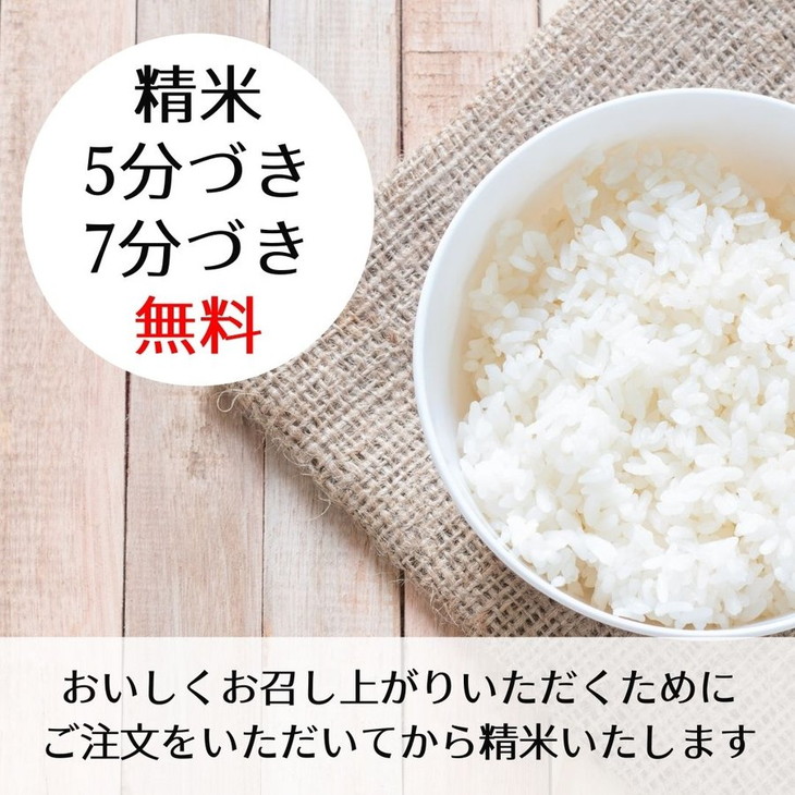 新米 令和5年産 京都 丹波産 きぬひかり 玄米 10kg（5kg×2袋）≪5つ星お米マイスター 厳選 受注精米可≫ ※離島への配送不可(北海道・沖縄本島は可)