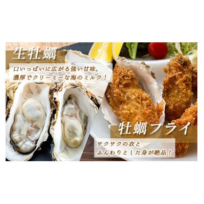 ふるさと納税 釧路町 仙鳳趾産　牡蠣剥き身(1kg)　