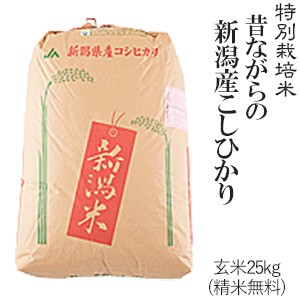 新米 令和5年産 玄米25kg 昔ながらの新潟産こしひかり 特別栽培米 送料無料(一部地域のぞく)