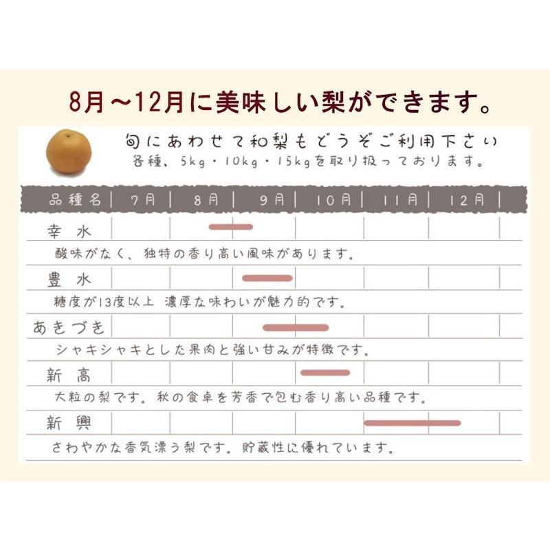 フルーツ 梨 和梨 新興 新潟県白根 梨栽培農家 和泉果樹園 有機質肥料栽培 新興梨 10kg (14個〜20個） 家庭用梨 送料無料