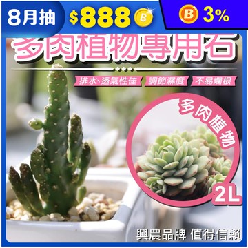 【花公主】多肉植物專用石2L