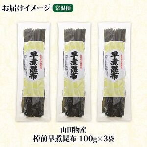 北海道釧路町産昆布3袋セット  山田物産の天然棹前早煮昆布 100g×3袋