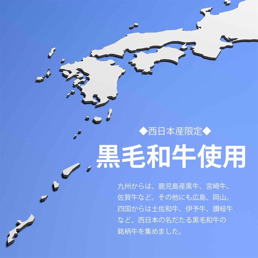 訳あり 黒毛和牛 最高級 A5 特選サーロイン ステーキ 肉 200g 冷凍 国産 牛肉 安い 肉 お取り寄せグルメ 食材 ゆっくり払い 食品