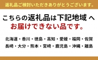 魚卸問屋の「鱒寿司」極厚切　饗（もてなし）1段×2個