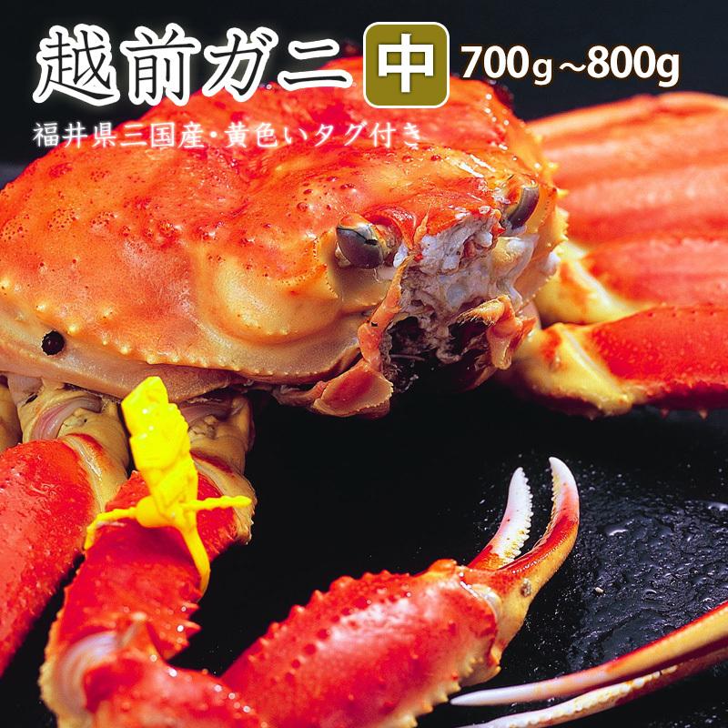 越前かに 福井県産越前ガニ（中）　タグ付き 茹で 700g〜800g　カニ　国産　冷蔵（クール便）