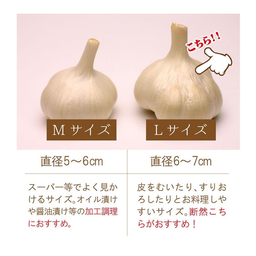 青森産 にんにく 1kg 送料無料 送料発生