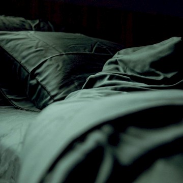 ROZZ 100%天絲60支床包四件組—蒼松翠柏 - 標準雙人